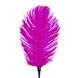 Лоскітка зі страусиним пером Art of Sex - Feather Tickler, колір Темно-рожевий SO7013 фото 6