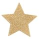 Пестіс - стикини Bijoux Indiscrets - Flash Star Gold, наклейки на соски SO2340 фото 5