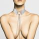 Украшение Bijoux Indiscrets Desir Metallique Collar - Silver SO5919 фото 4